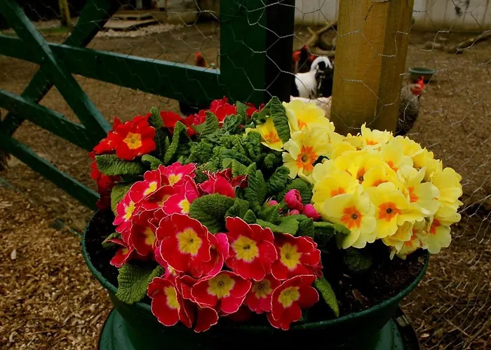 Дом отдыха Dunloe View Килларни