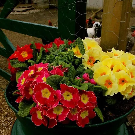 Dom wakacyjny Dunloe View Killarney